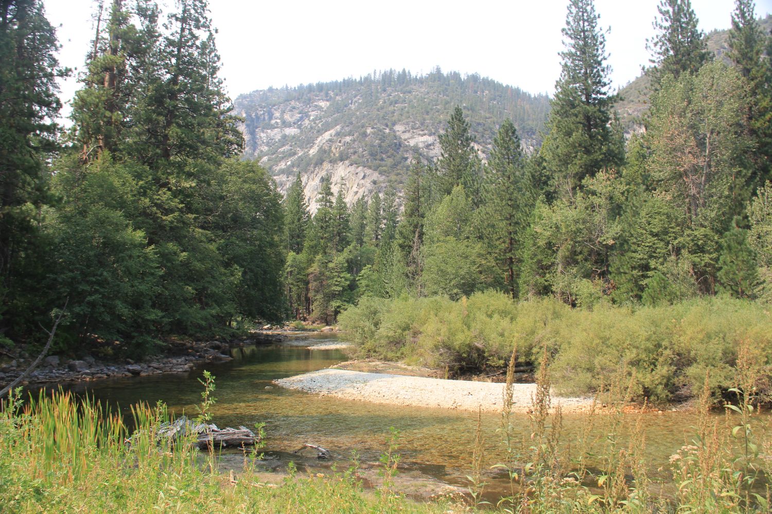 Zumwalt Meadows Trail 